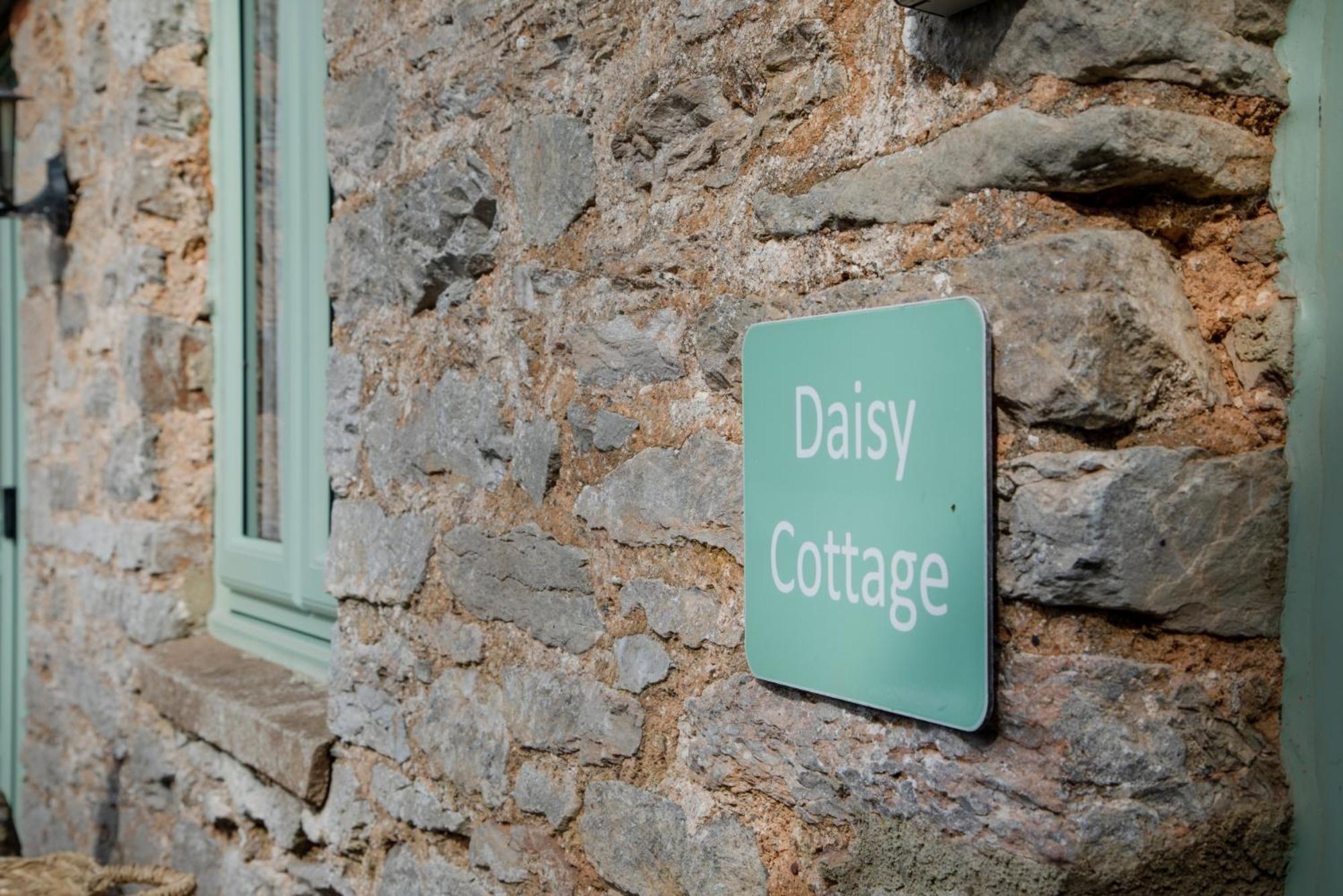 Daisy Cottage Paignton Exterior foto